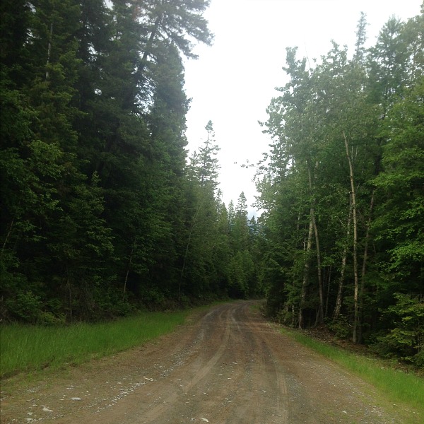 road towards holland lake lodge
